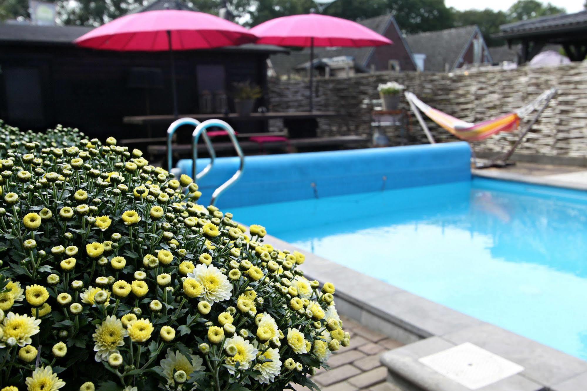 Hotel Buxus Gasselte Zewnętrze zdjęcie